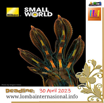 https://www.lombainternasional.info/2022/12/gratis-lomba-foto-dan-video-nikon-small.html