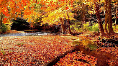 Paisaje de otoño