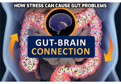 If you think your anxiety is giving you intestinal issues, you’re probably right. Here’s what we know about the gut-brain connection – how stress can cause gut problems.