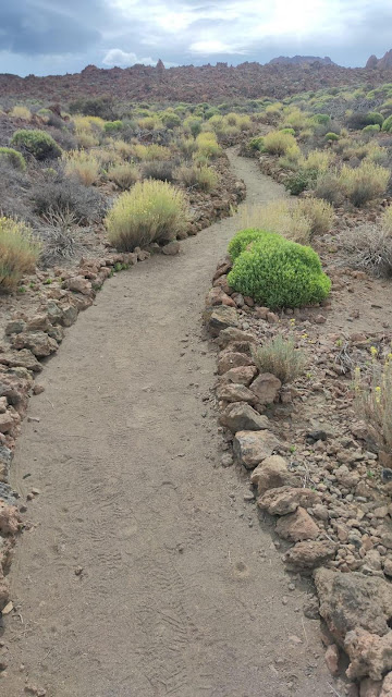 Explorando la maravilla natural del Parque Nacional del Teide