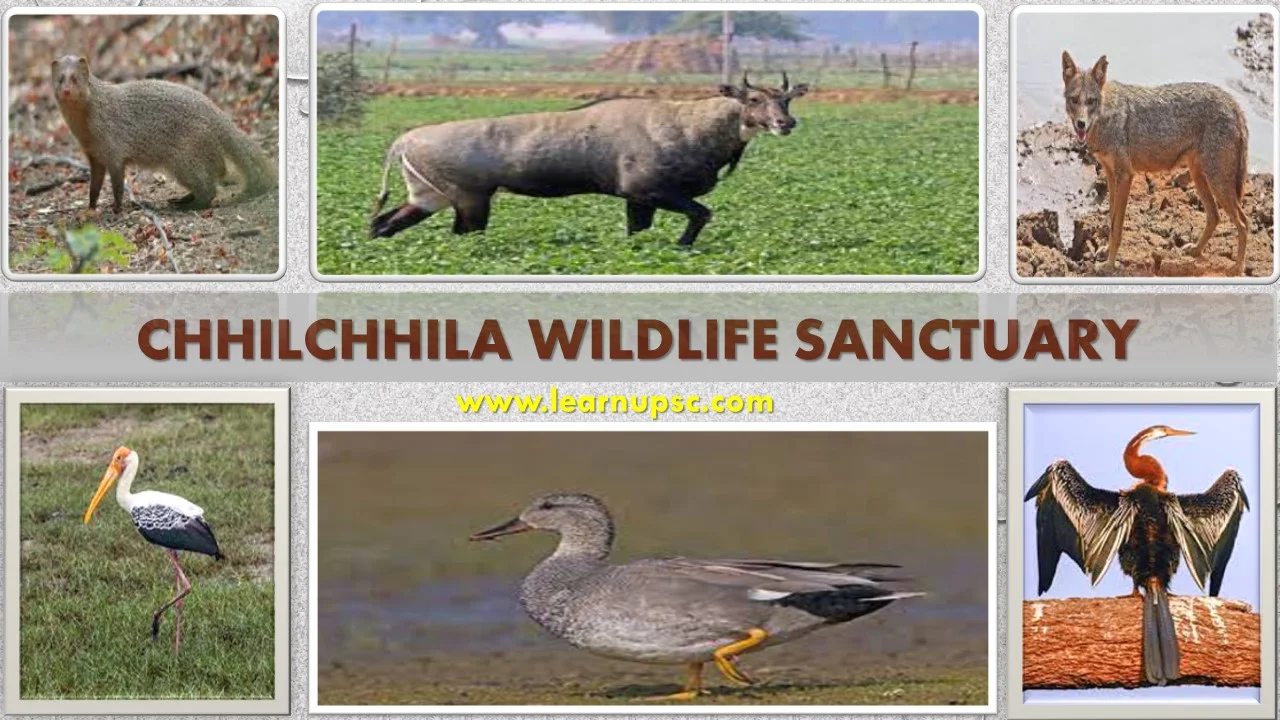Chhilchhila Wildlife Sanctuary