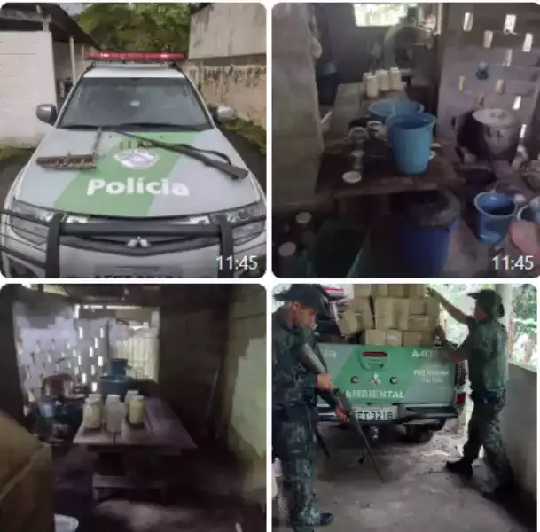 Polícia Ambiental localiza fabriqueta clandestina de palmitos em Miracatu