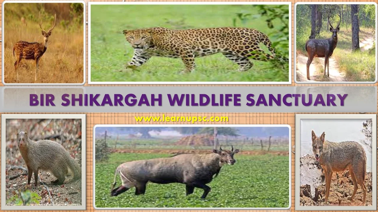 Bir Shikargah Wildlife Sanctuary