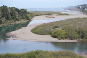 The Gualala River is running fast and strong with all the recent rains. (two deer swimming across the gualala river by peggy berryhill medium )