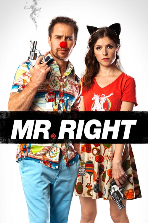 Regarder Mr. Right 2016 Film Complet En Francais