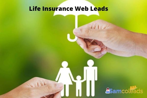 Life Insurance Web Leads