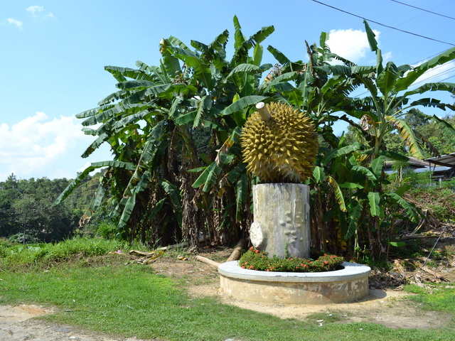 Life Begins at Forty: Pakan, Sarawak