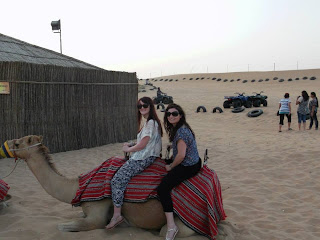 Dubai Camel Ride