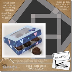 FlipTopBox021210
