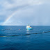 Ocean Cleanup vaart terug naar de kust na nieuwe tegenvaller