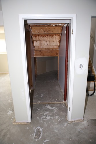 20140715 basement (10)