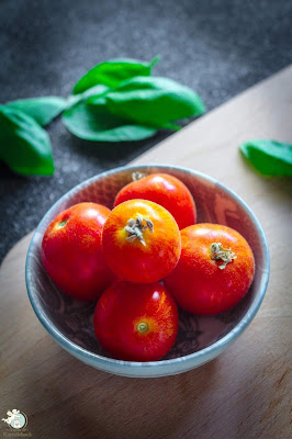 Futziwutzi Tomaten vom Balkon OBI