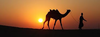 Rajasthan Tours