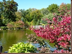 Japaneese Garden -Rockford IL