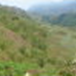 View album