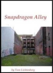 Review : SnapDragon Alley (book one of Dragon City)