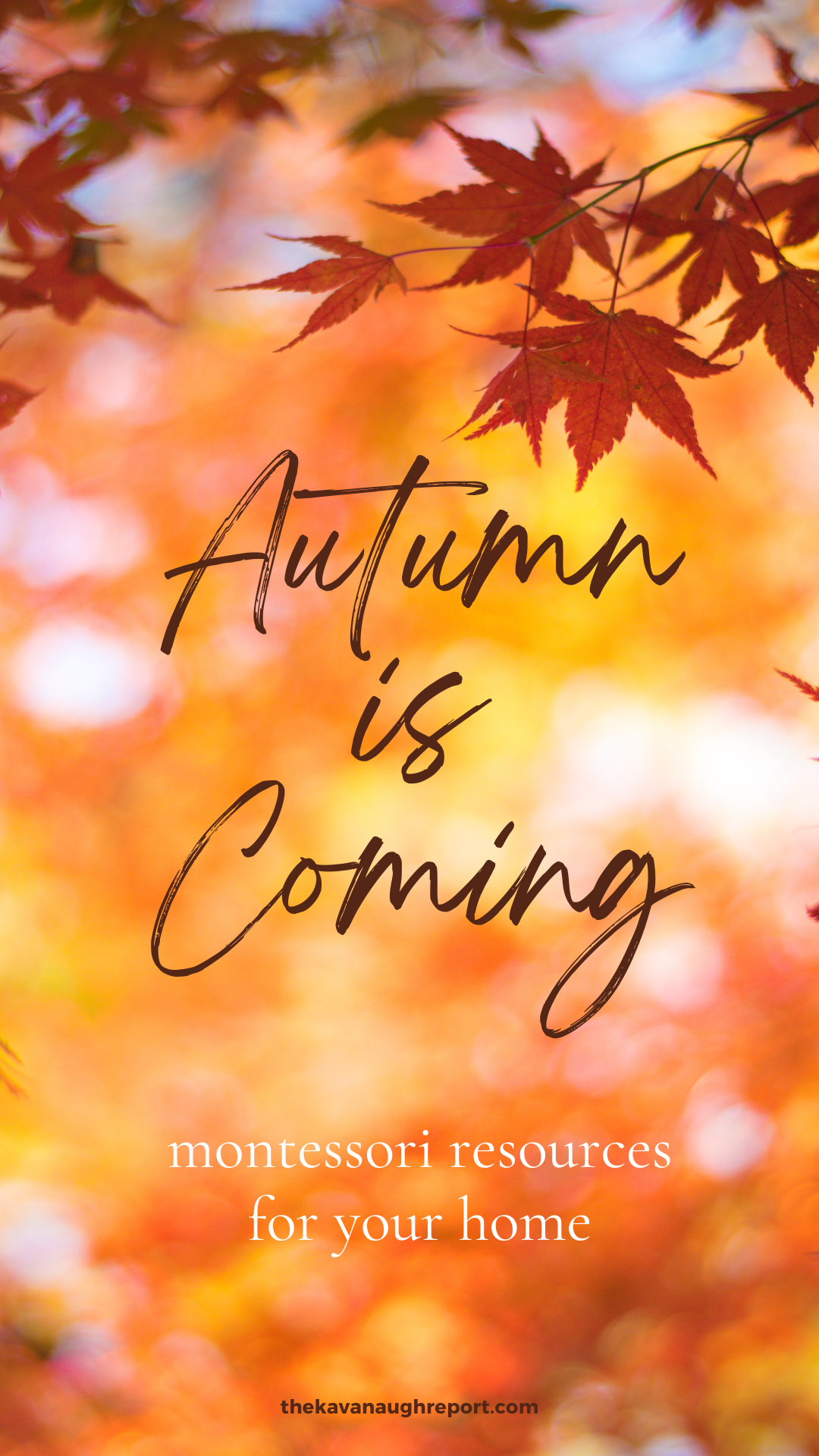 Autumn is a season filled with change and new beginnings! Make it more magical for your children with Montessori activities, toys and ideas. Study leaves, pumpkins, weather and many more! Learn the Montessori way and let your child's interests lead the way.