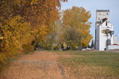 Edam Grain Elevator.