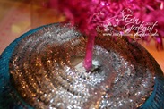 IMG_1729web