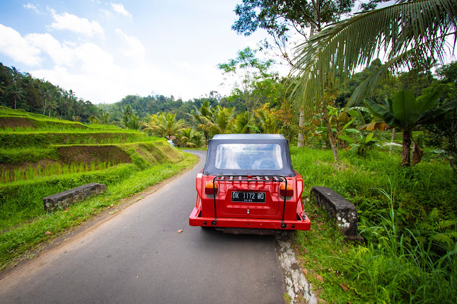 Risaie di Jatiluwih-Bali