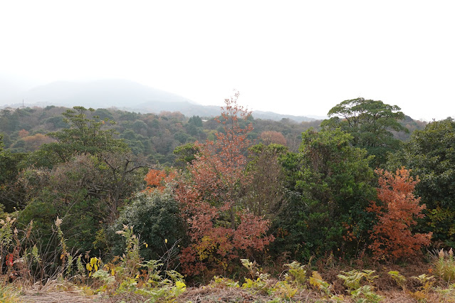 鳥取県西伯郡大山町富岡 むきばんだ史跡公園 展望台からの眺め