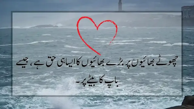 Brother Quotes in Urdu