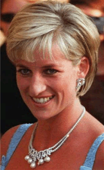 Parr have created a jam made from the hair of the late Princess Diana