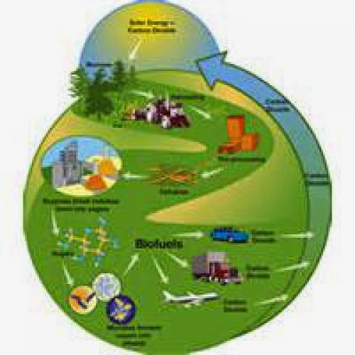 Iit Wins Key Role In Renewable Energy Project