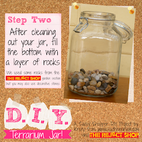 How to Make a Terrarium Jar on a Budget - Simple Weekend Projects - Dollar Store Craft Projects for Kids