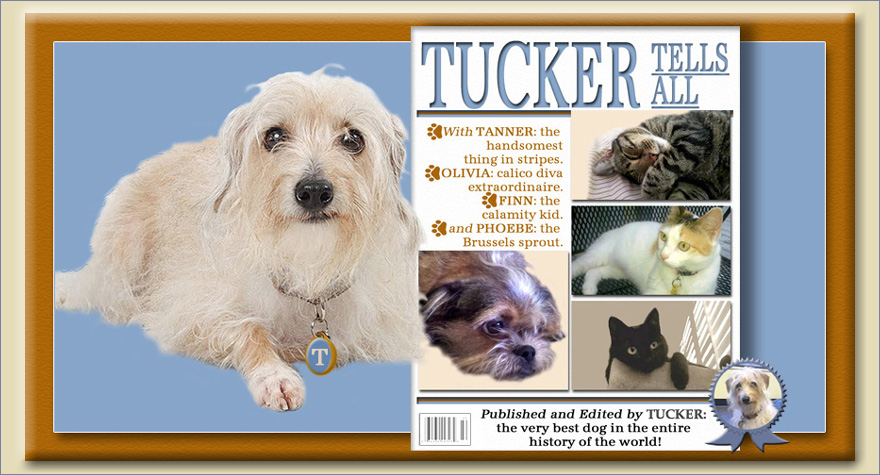 TUCKER TELLS ALL