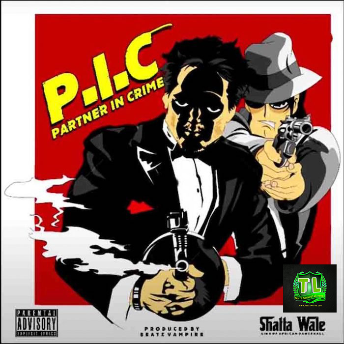 Shatta-Wale-Partner-In-Crime-PIC-mp3-download-Teelamford