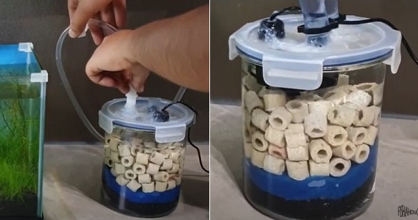 Filling canister filter with water