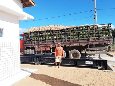 Agricultores familiares de Maracás ganham reforço na comercialização da produção