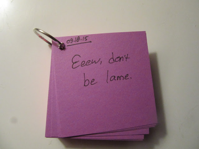 Young Yankee Lady Phrase A Day mini-journal