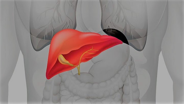 IS YOUR LIVER IMPORTANT OR NOT?