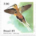 1981 - Brasil - Phaethornis pretrei