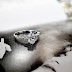VIN GOL | Diamond Engagement Rings