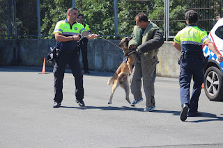 Los perros de la Policía Municipal muestran sus habilidades en Retuerto en una sofocante jornada