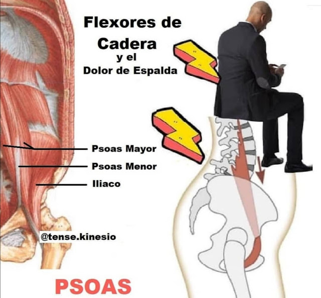 ☝️📸DOLOR LUMBAR POR TENSIÓN DEL PSOAS! (PARTE 2️⃣)