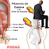 ☝️📸DOLOR LUMBAR POR TENSIÓN DEL PSOAS! (PARTE 2️⃣)