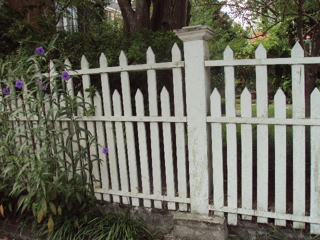 Antique ART Garden: Original Old Wood Picket FENCES & GATES of CHARLESTON, South Carolina