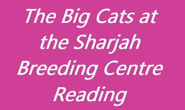 The Big Cats at the Sharjah Breeding Centre Reading Answers