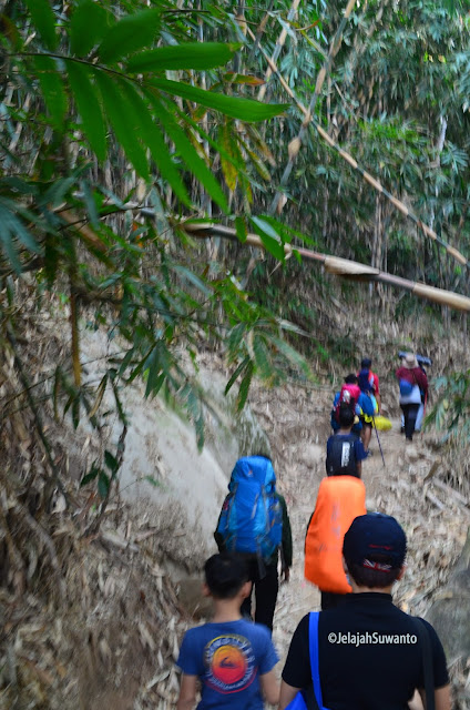 Papa pendaki memasuki Hutan Bambu di jalur pendakian Gunung Lembu | JelajahSuwanto