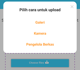 pengelola berkas