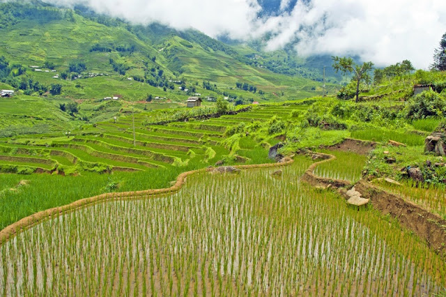 A Week In The North Of Vietnam With The Most Prominent Destinations 3