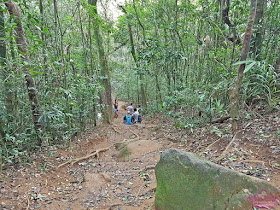 Passeios no Rio para quem gosta de natureza