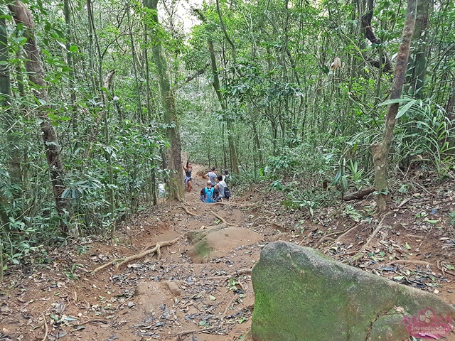 Passeios no Rio para quem gosta de natureza