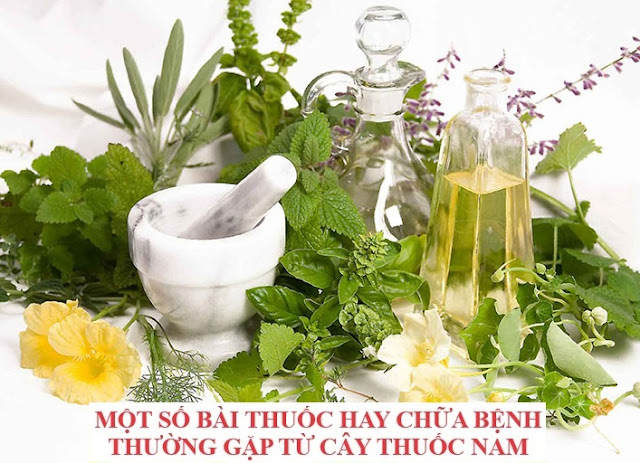 Tự Chữa Bệnh Bằng Cây Thuốc Nam - MỘT SỐ BÀI THUỐC HAY (Phần 8)