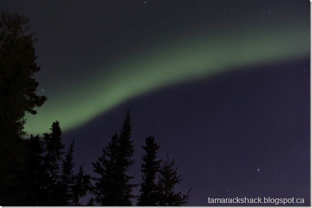 aurora5