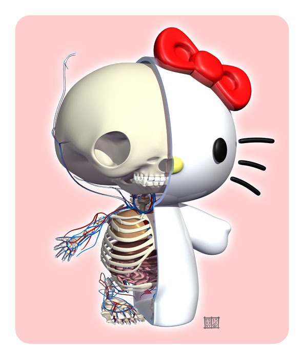 cartoon-anatomy (3)
